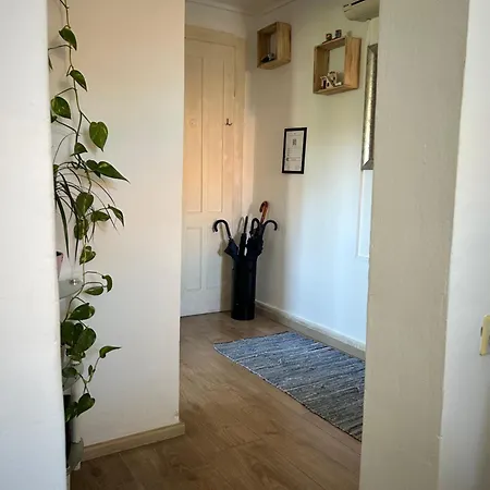 Bacvice Experience Appartement *