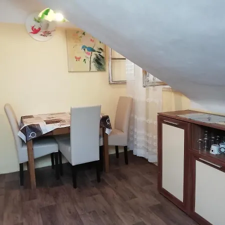 Bacvice Experience *