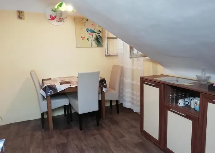 Bacvice Experience *