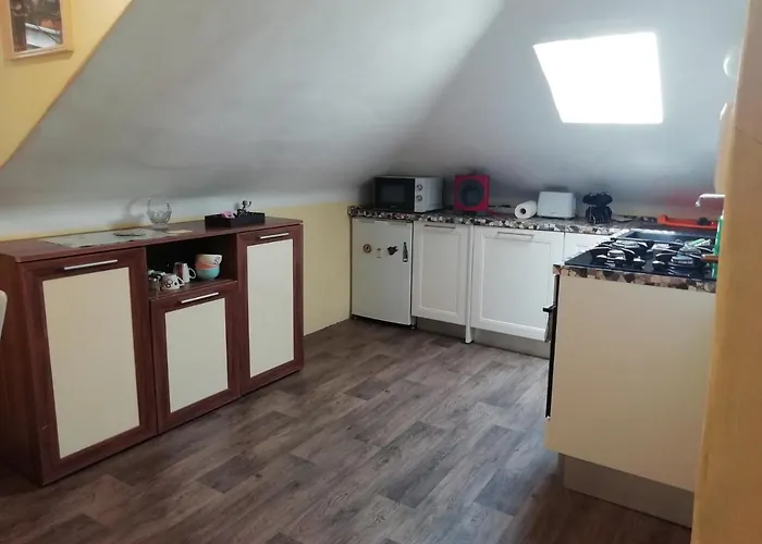 Bacvice Experience *