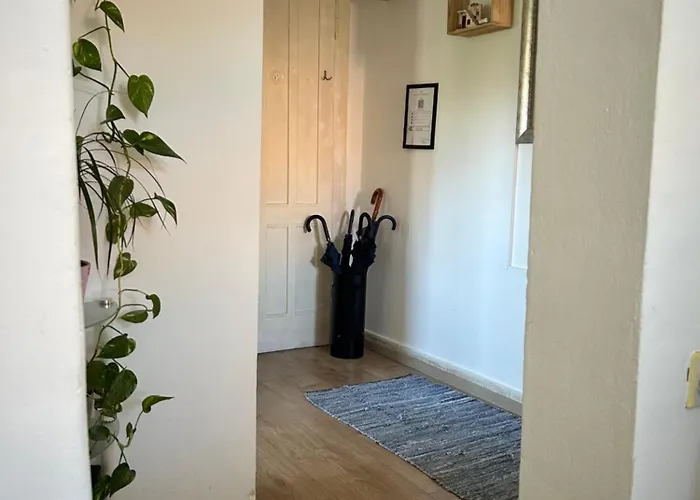 Bacvice Experience Appartamento *